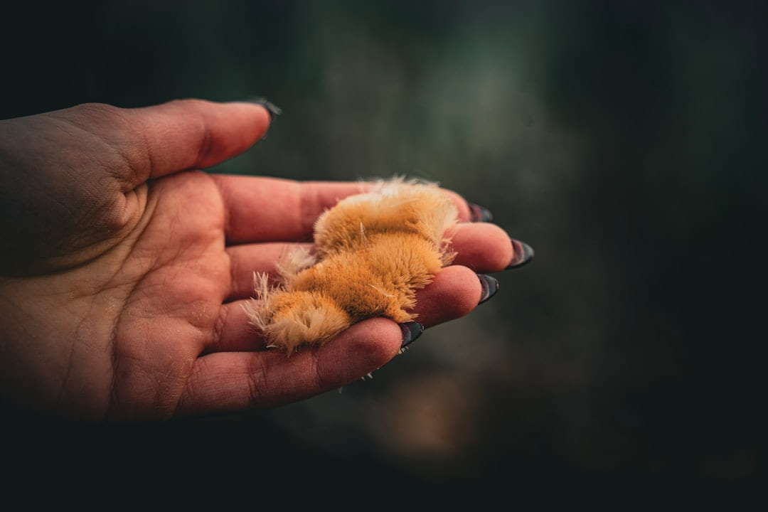 A person holding a teddy bear in their hand on Little Critter Guide
