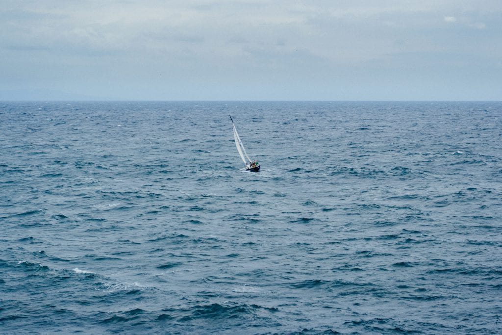 Small sailing boat - freestocks.org - Free stock photo on Little Critter Guide